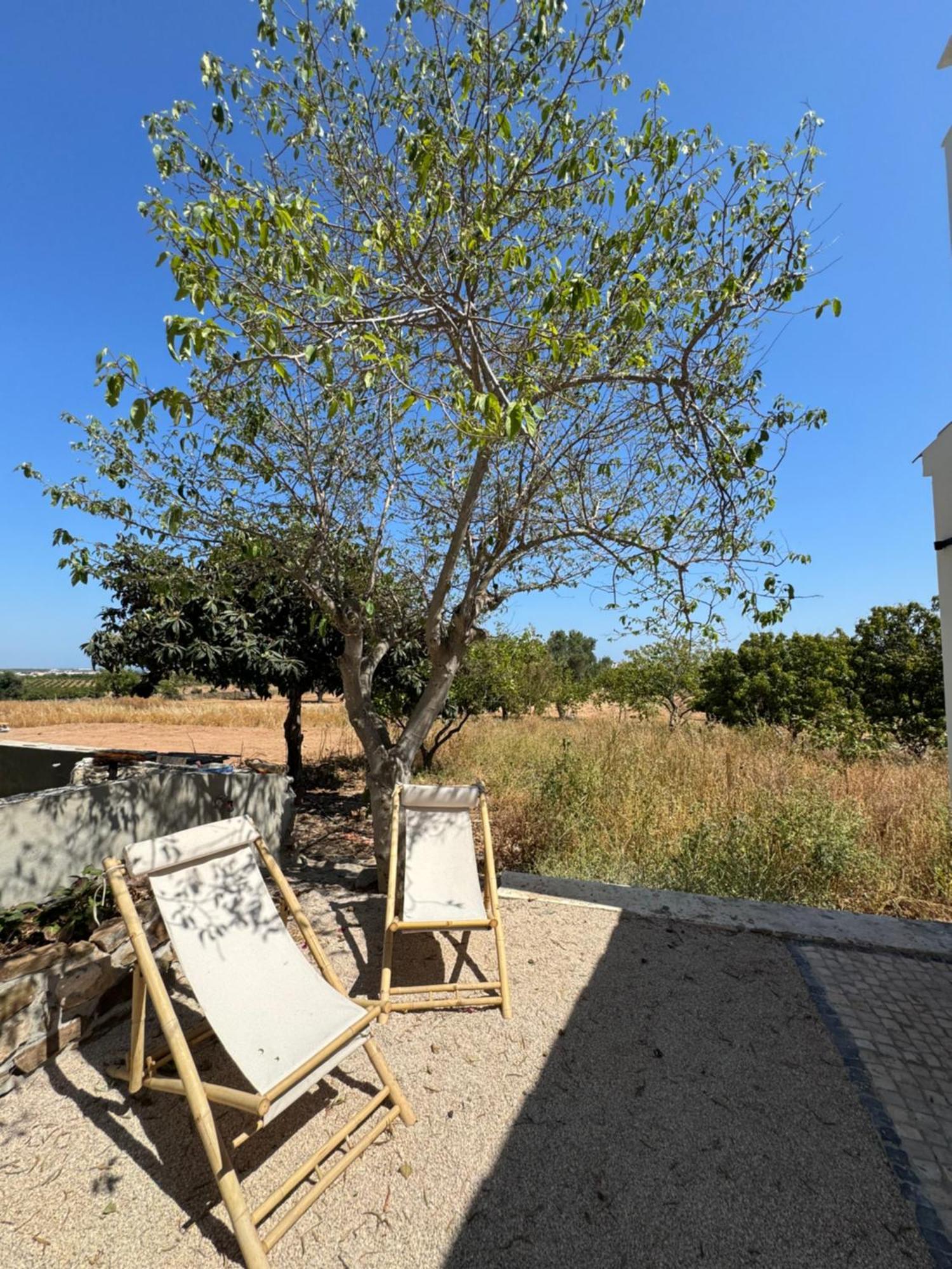 Quinta Castor Villa Vila Nova de Cacela Eksteriør bilde