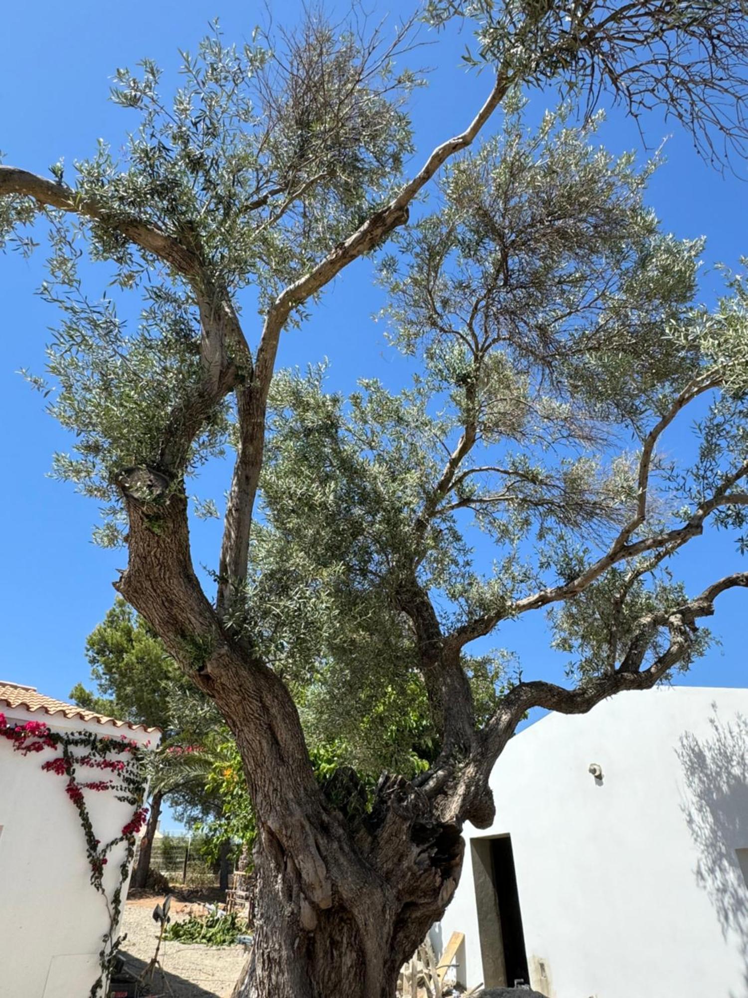 Quinta Castor Villa Vila Nova de Cacela Eksteriør bilde