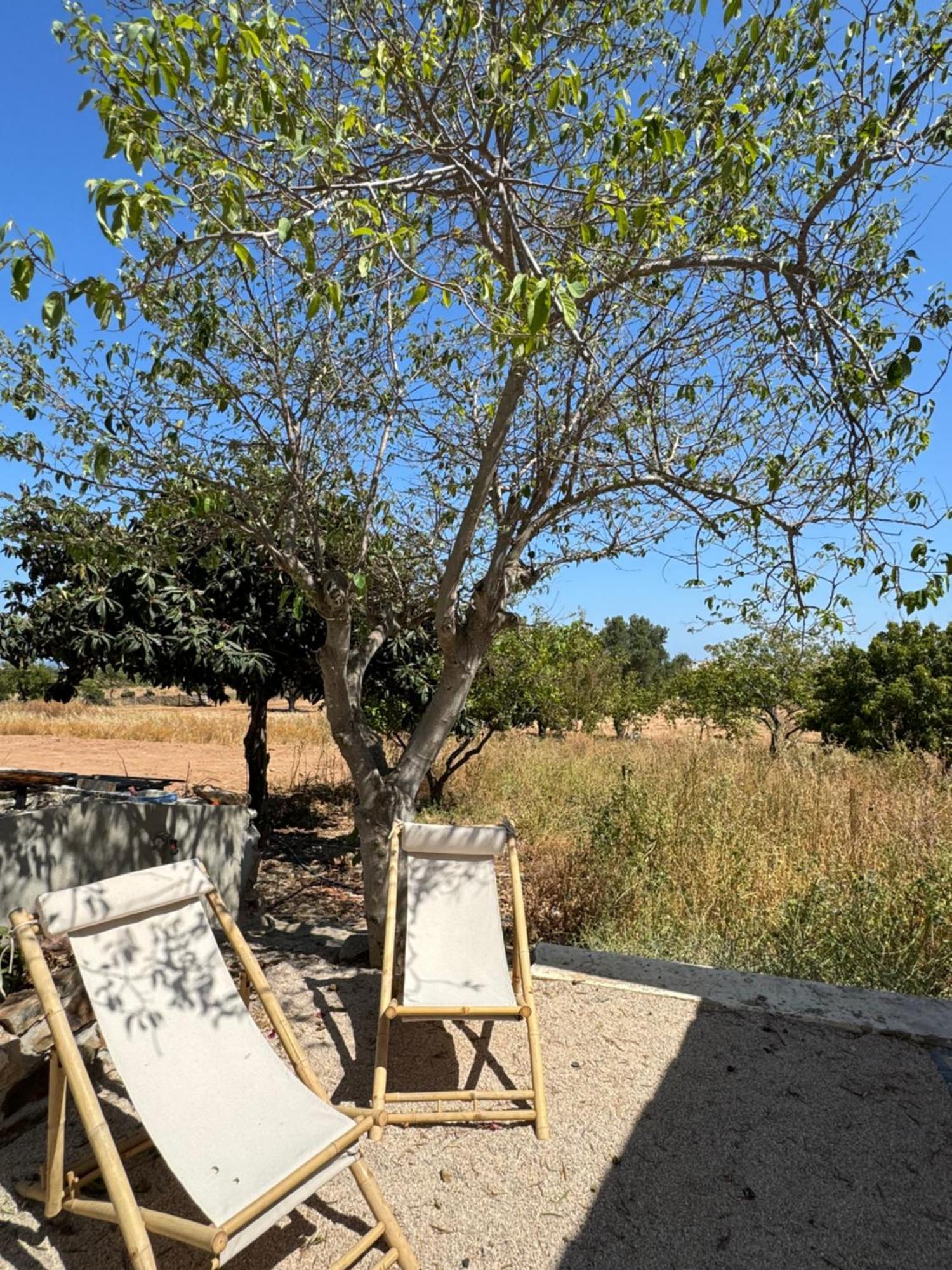 Quinta Castor Villa Vila Nova de Cacela Eksteriør bilde